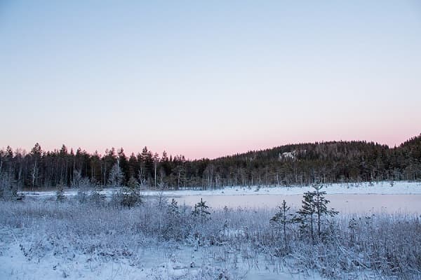 Into the vikings' land 3